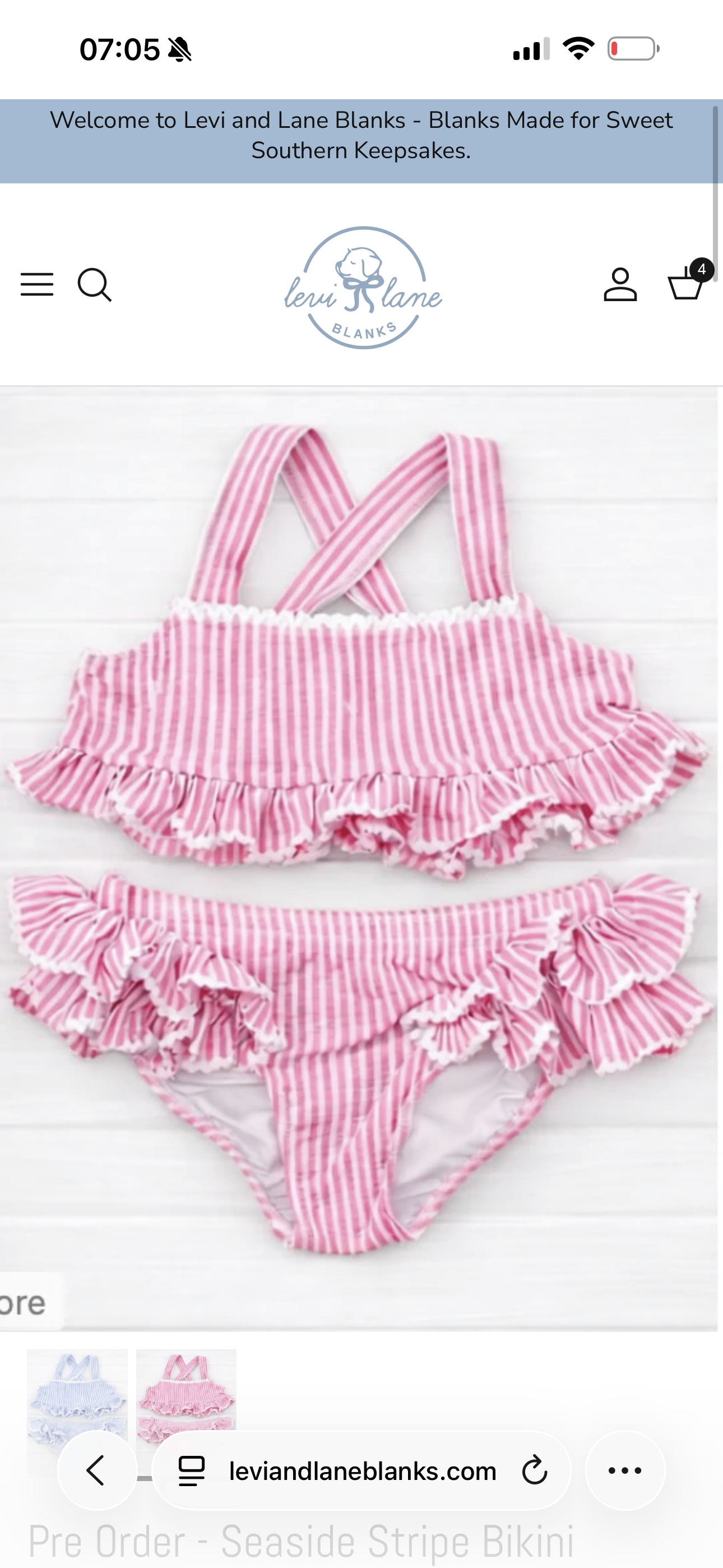 Stripe Bikini Set